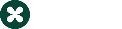 Saasflow Logo